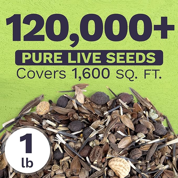 Bulk Wildflower Seeds Butterfly and Hummingbird Mix - 1 Pound Bag - Over 120,000 Open Pollinated Annual and Perennial Seeds