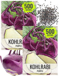 Seed Needs Kohlrabi Seeds for Planting Purple Vienna Kohlrabi Crops - Non-GMO Heirloom & Untreated Vegetable Seed to Plant an Outdoor Home Grown Veggie Garden (Purple Kohlrabi, 2 Packs (1,000 Seeds))