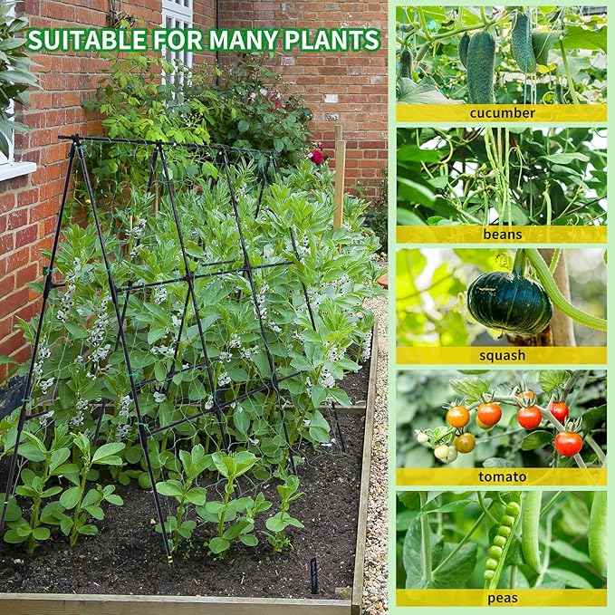 Garden Cucumber Trellis for Climbing Plants Outdoor, 50x48 inch A Frame Cucumber Trellis for Garden Raised Bed, Plant Support for Vegetable Vine Pea Bean, with Netting, Black
