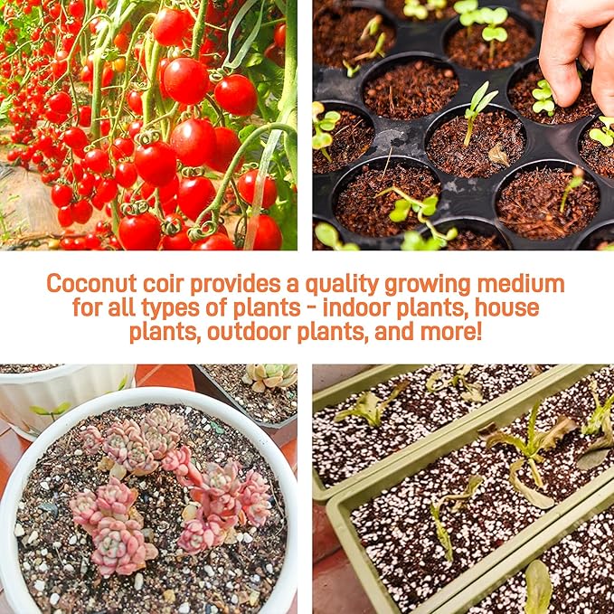 Premium Organic Coconut Coir Bricks - 6 Pack Coco Coir Bricks for Planting, Gardening, and Potting Soil Substrate. Low EC & pH Balanced 100% Organic Peat Moss Mix with Fiber from Coconut Husks