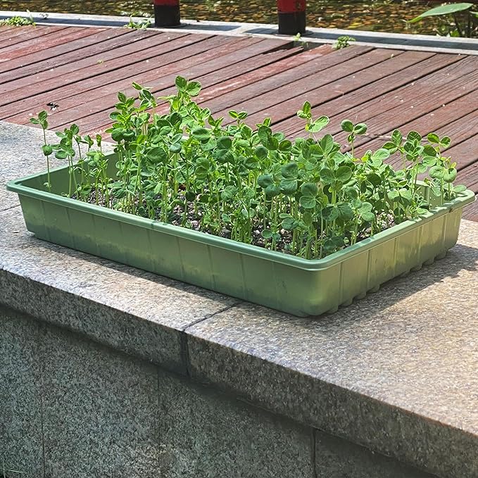 Mr. Pen-Plastic Growing Trays, 5 Pack, Plant Tray, Seed Tray, Propagation Tray