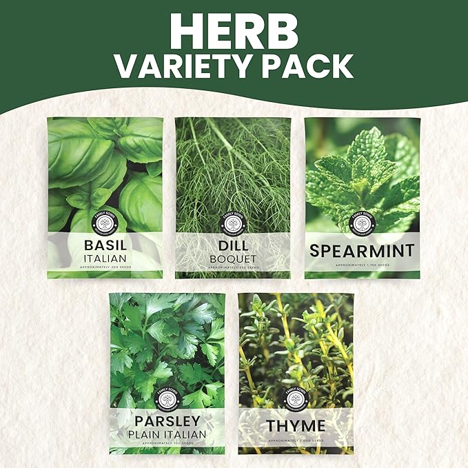 Herb Seeds | 5 Invidiual Packs | 2026 Season | Non-GMO | Basil, Dill, Spearmint, Parsley & Thyme! | for Planting Indoor & Outdoor | by Family Sown