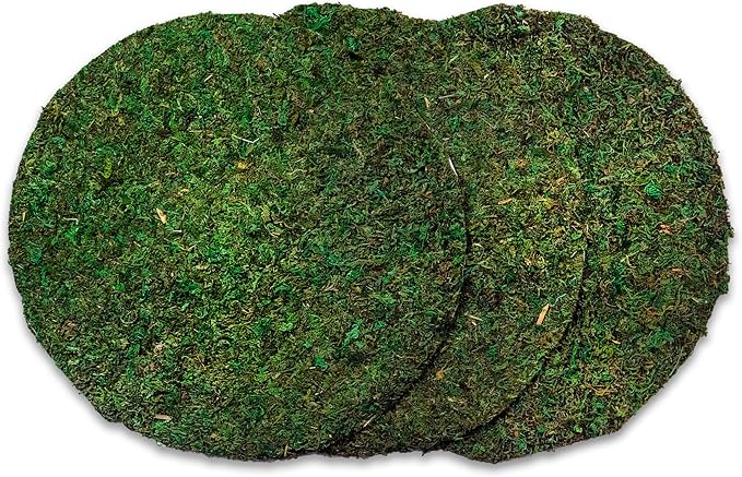 SuperMoss (26325) Moss Soil Toppers (Place Mats), Fresh Green, 16" (3 units)