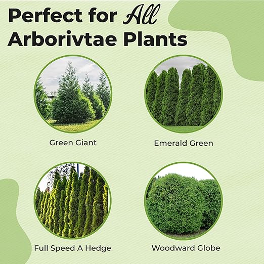 Liquid Arborvitae Fertilizer by Perfect Plants (1qt)