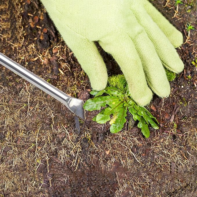 Weed Puller Tool Hand Weeder Dandelion Weeder Tool with Ergonomic Handle, Stainless Steel Manual Weed Puller Bend