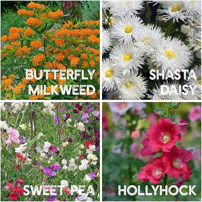 35 Varieties of Flower Seeds for Planting, ~20,000 Seeds - Includes Annuals, Perennials, & Wildflowers - Our Largest Assortment of Bulk Flower Seeds - Premium Flower Garden Seed Collection