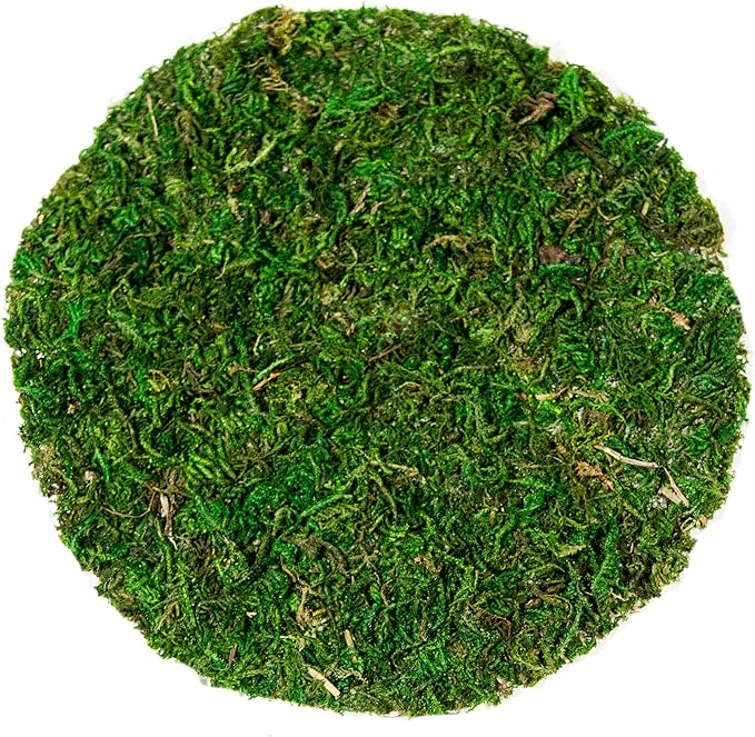 SuperMoss (26295) Moss Soil Toppers, Fresh Green, 4 (3 Units)