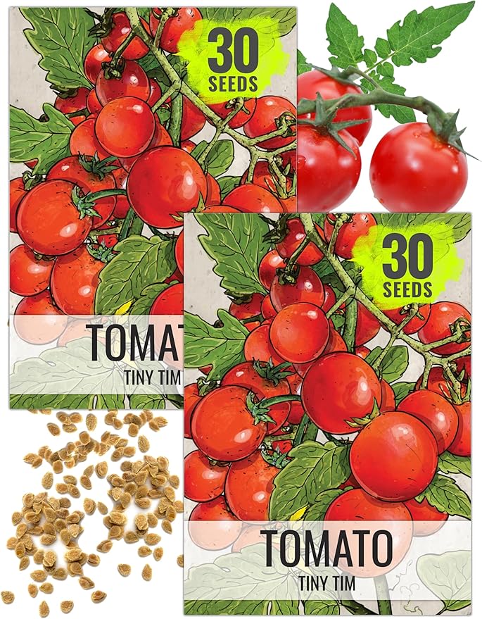 Seed Needs Tiny Tim Tomato Seeds for Planting Dwarf Cherry Tomatoes - Non-GMO Heirloom & Untreated Veggie Seed to Plant a Home Grown Outdoor Vegetable Garden (2 Packs)