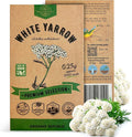 White Yarrow Seeds Pack 0.25 G - Over 2000 Non-GMO Heirloom Yarrow Seeds for Planting Herbs in Individual Seed Packet, Herbs Seeds for Planting Home Garden Indoor & Outdoor Gardening
