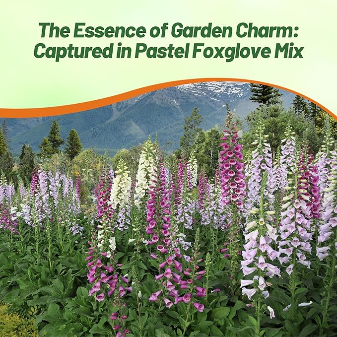 Outsidepride Digitalis Purpurea Gloxiniaeflora Mix Foxglove Seeds – 5000 Pcs Biennial, Prolific, Tall Growing Flower Seeds with Pollinator-Friendly Blooms for Shaded Gardens & Outdoor Landscapes