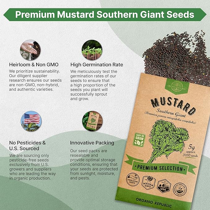 Organo Republic Mustard Southern Giant Seeds Pack 5 G - Over 3,950 Non-GMO Heirloom Mustard Seeds for Planting Greens in Individual Seed Packet, Greens Seeds for Planting Home Garden Indoor & Outdoor