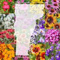 Vermont Bulk Perennial Wildflower Seed Mix 1lb Covers 2,000sq-ft - Attract Pollinators, Multi-Color Blooms - Northeast US Species Plant in Spring/Fall - Earth-Friendly Packaging (1/4 Pound)