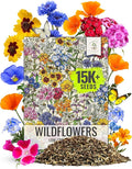 Seed Needs Low Growing Wildflower Flower Seeds for Planting | 1 Ounce Mixture/Blend 17 Varieties | Resealable Package Multicolored Blooms Open Pollinated Mixed Species | Bulk