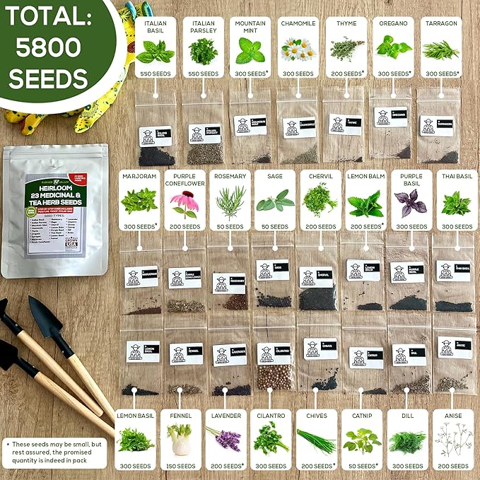 Most Popular Heirloom Non GMO Tea and Herb Seeds for Planting Indoor and Outdoor Garden