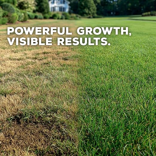 Soil Seed & Water Turf Daddy Organic Lawn Fertilizer – Long Term Soil Amendment for Long Lasting Greens, Lawns and Grass - Overseeding Blend - OMRI Listed