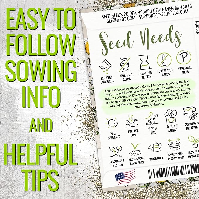 Seed Needs Chamomile Seeds for Planting German & Roman Chamomile - Non-GMO Heirloom & Untreated Herb Seed to Plant an Indoor/Outdoor Culinary Medicinal Garden (Collection of 2 Packets)