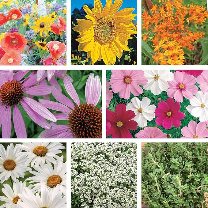 Ferry-Morse Pollinator Wildflower Garden Non-GMO Seed Bundle - 8 Pack