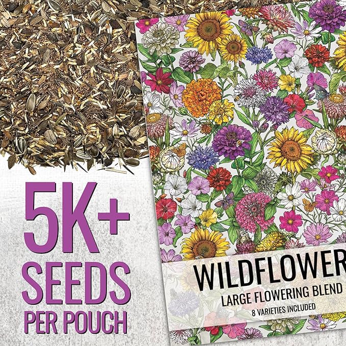 Seed Needs Garden Flower Seeds Large Blooms Mix Hummingbird and Butterfly | 1 Ounce No Filler 7 Varieties Open Pollinated | Resealable Package Live Wild Flower Seed | Bulk
