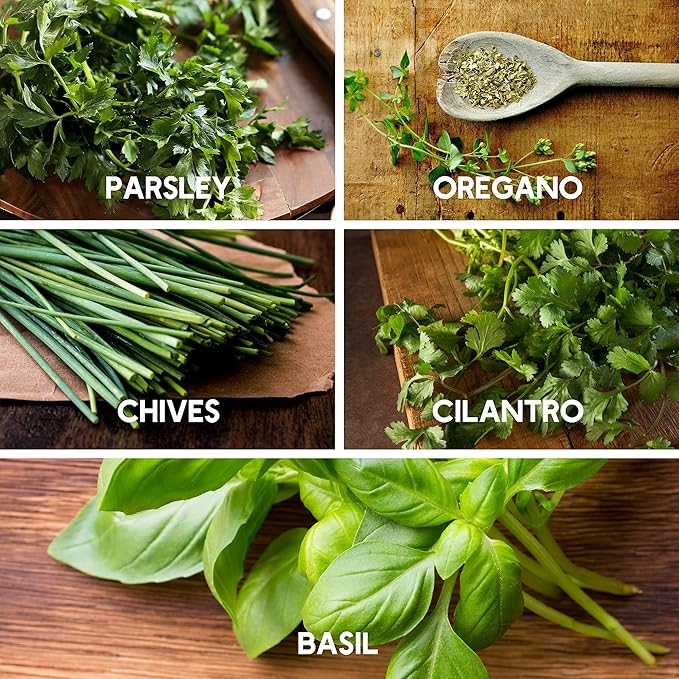 Essential Culinary Herb Garden Seed Collection - Basil, Chives, Cilantro, Parsley, and Oregano Seeds for Planting - ~2,300 Non-GMO, Heirloom Seeds - Charmingly Packaged Herb Seed Variety Pack