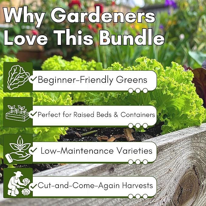 Salad Garden Seed Bundle – Mixed Lettuce, Spinach & Arugula Seeds for Planting | Leafy Greens Variety Pack for Outdoor, Indoor & Hydroponic Gardens | Heirloom, Non-GMO | Woods Creek Seeds
