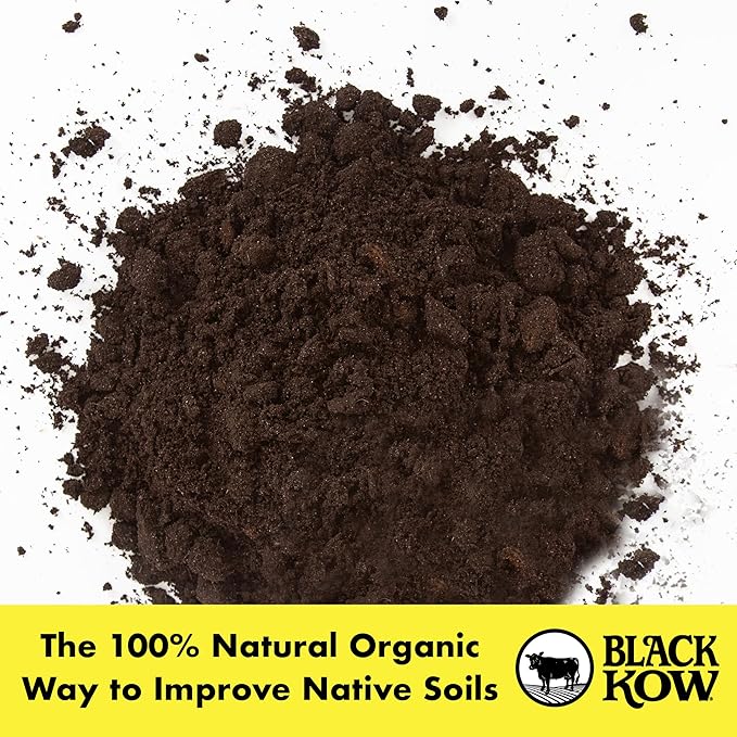 Black Kow Nitrogen Phosphate Composted Cow Manure Fertilizer for Soil, Flowers, Potted Plants, Raised Beds, and Compost Tea, (8 qt)