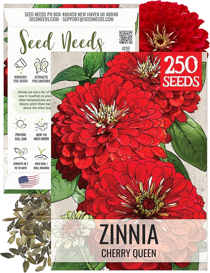 Seed Needs, Cherry Queen Zinnia Seeds - 250 Heirloom Seeds for Planting Zinnia elegans - Attracts Butterflies & Pollinators, Great Cut Flowers (1 Pack)
