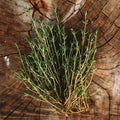 Thyme - 250 Seeds - Heirloom & Open-Pollinated Variety, Non-GMO Culinary Herb Seeds for Planting, Grow Kitchen Herbs Indoors/Outdoors in Containers/aerogarden/Home Garden, Thresh Seed Company