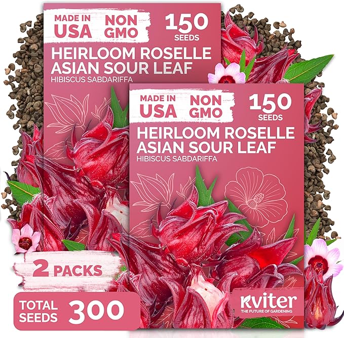 KVITER 300 Roselle Seeds for Planting (Hibiscus Sabdariffa), 2 Pack – Jamaican Sorrel/Cranberry Hibisco Seeds/Gongura Seed/Sour Leaf Seed – Perfect for Hibiscus Tea Organic, Outdoor & Indoor Garden