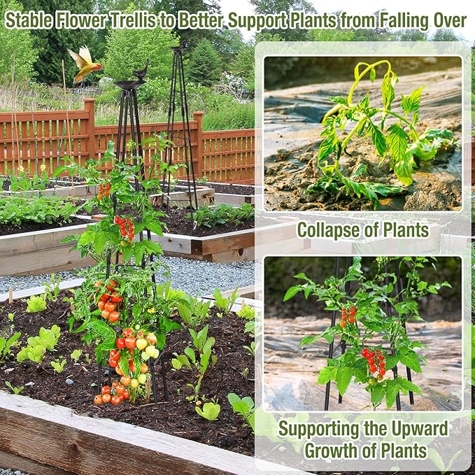 4Ft Garden Trellis for Climbing Plants Outdoor, 2Packs Trellis for Monstera Plants Indoor Large, Tower Obelisk & Fan-Shaped Plant Support Garden Trellis for Potted Flowers, Tomatoes, Vines