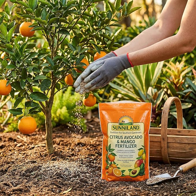 Avocado and Mango 6-4-6 Plant Fertilizer – 20 lb Bag – Granular Plant Food for Avocado, Mango & Citrus Trees – Supports Steady Growth & Seasonal Feeding – Balanced 6-4-6 Garden Formula