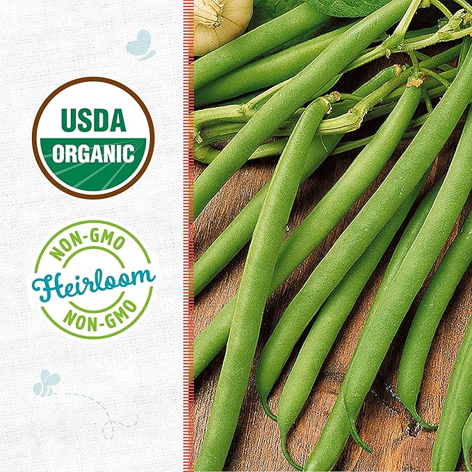 Back to the Roots 100% Organic Seed Packet - Bean 'Kentucky Wonder Pole Green' 8.4g