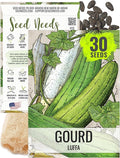 Seed Needs Luffa Seeds for Planting Loofah Sponge Gourds - Non-GMO Heirloom & Untreated Veggie Seed to Plant a Home Grown Outdoor Vegetable Garden (1 Pack)