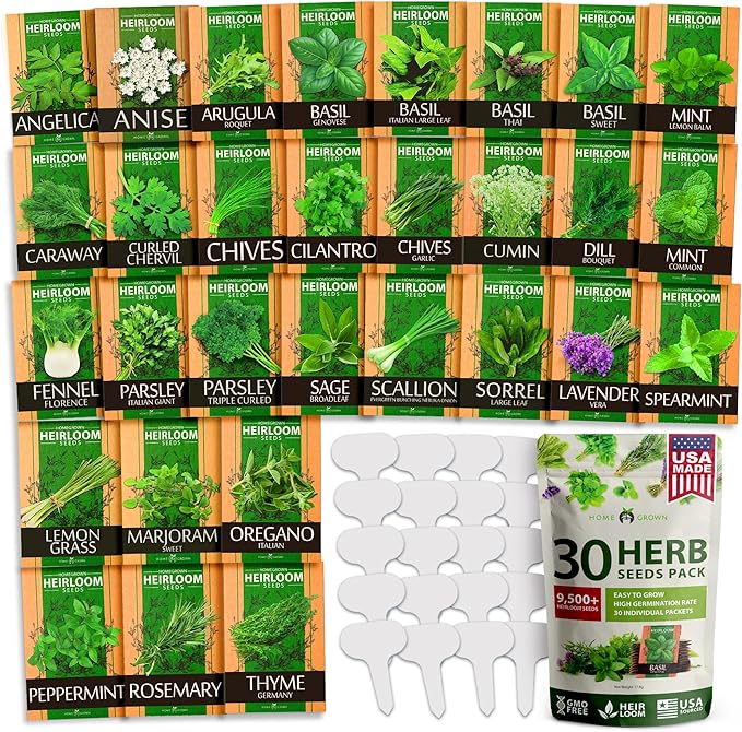 HOME GROWN Italian Basil Seeds 1,424+ & 30 Herb Seeds Pack 9,500+ – 𝗡𝗢𝗡-𝗚𝗠𝗢 USA Heirloom Seeds for Indoor/Outdoor Planting – Perfect for Culinary & Hydroponic Gardens