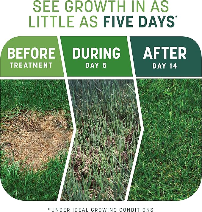 Pennington Smart Patch Tall Fescue 10lb 200 sq. ft. Grass Seed Bare Spot Repair with Mulch and Fertilizer