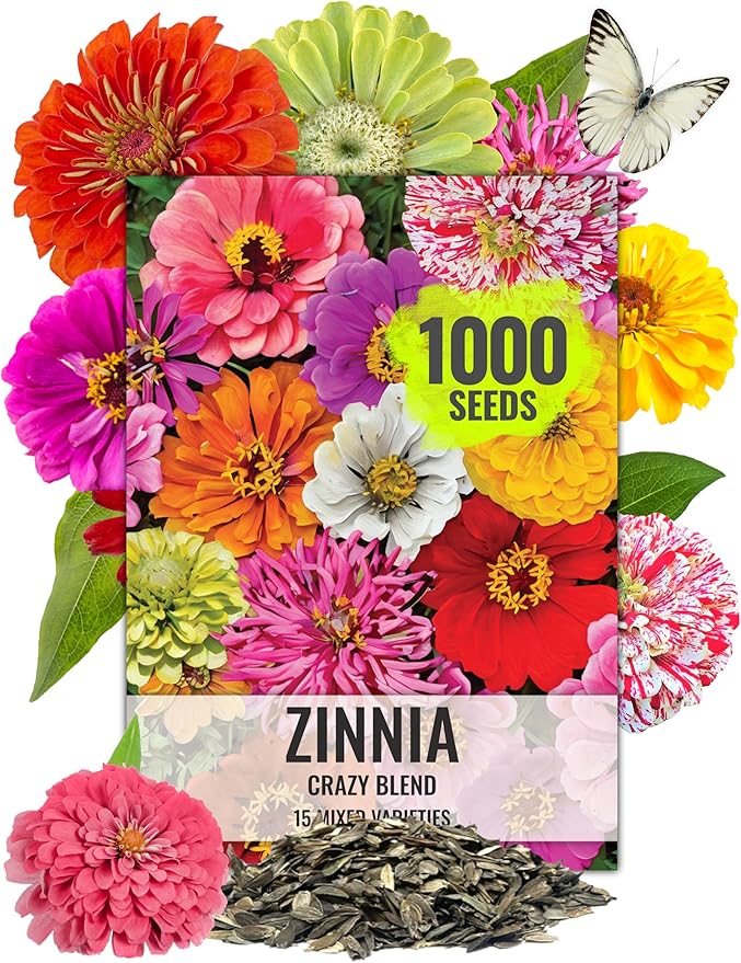 Seed Needs Zinnia Seeds 15+ Varieties Specialty Crazy Blend | 1,000+ Seeds Zinnia Elegans Open Pollinated | Includes California Giants, Candystripe & State Fair Species | Bulk
