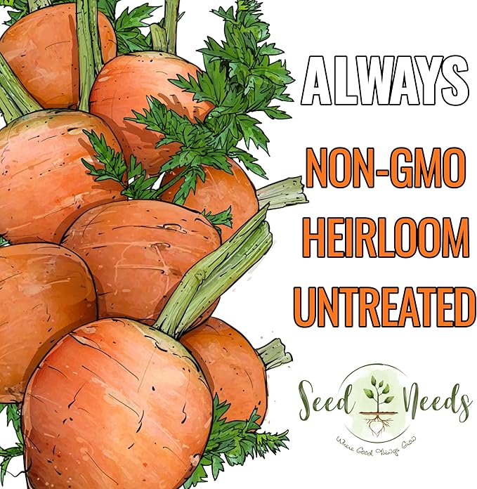 Seed Needs Carrot Seeds for Planting Paris Market Carrots - Non-GMO Heirloom & Untreated Annual Cool Weather Crops - Grow a Home Grown Outdoor Vegetable Garden (5 Packs)