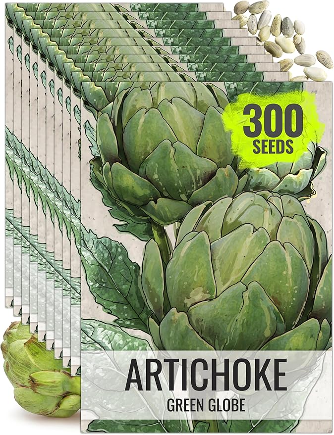 Seed Needs Artichoke Seeds for Planting Green Globe Artichokes - Non-GMO Heirloom & Untreated - Grow an Outdoor Home Grown Vegetable Garden for Fresh Produce (10 Packs)