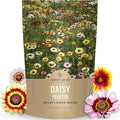 Painted Daisy - Bulk 1/4 Pound Pouch - 40,000 Flower Seeds for Planting - Chrysanthemum carinatum