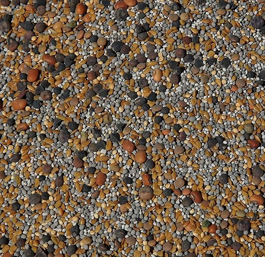 No-Till Cover Crop 13-Seed Mix (½-lb): [50% Clovers Plus Fenugreek, Vetch, Flax, Cowpeas, Buckwheat, Forage Peas, Millet, Lentils, Crimson Clover, Sweet Yellow Clover, White Clover, Medium Red Clover]
