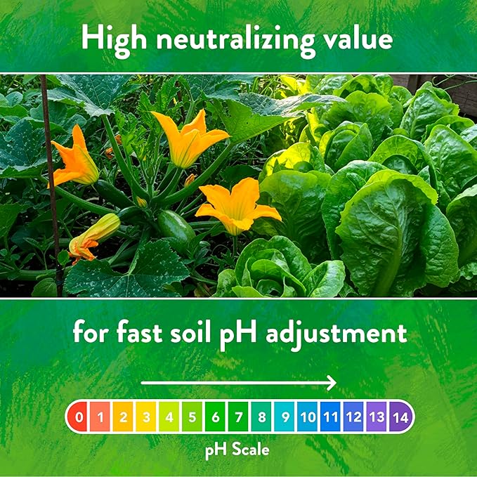 Down To Earth All Natural Fertilizers Organic Solution Grade Calcium 96 - Professional Grade Limestone Powder 325 mesh for Liquid, Drip or Spray Applications, 1 lb