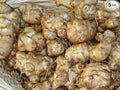 5 Tubers Jerusalem Artichokes AKA Sunchokes, Sunroot or Jerusalem Artichokes for Planting or Eating-None