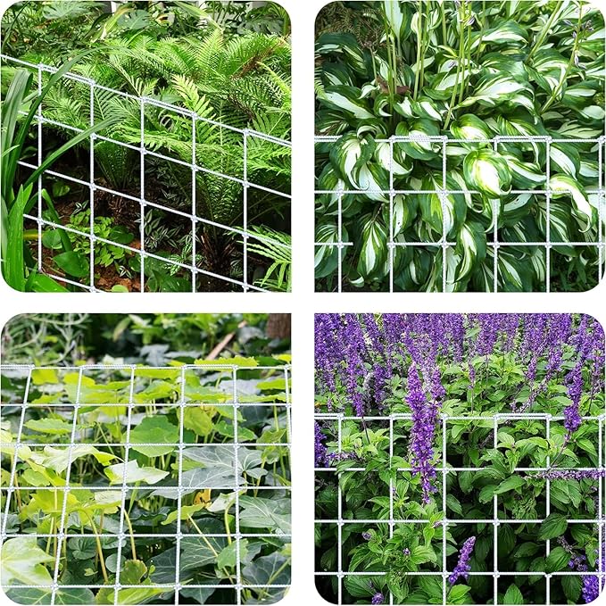 Simple Deluxe Elastic Trellis Netting for 4x4', Heavy Duty Elastic Plant with Hooks, Flexible Hydroponics Support for Grow Tent, Gardening, Climbing Plants, 2 Pack, White