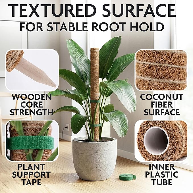 Moss Pole 26.4" Small Monstera Plant Support 2 Pcs Set - Pothos Plant Climber Support with Connectable Design and Fixation Strip - Coconut Fiber Moss Poles for Monstera, Money Plants, Philodendron