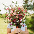 Mountain Garland Mix (Elegant Clarkia) - 250 Seeds - Beautiful Pink, Purple & White Flowers, Non-GMO Heirloom Clarkia Seeds for Planting in The Home Garden, Thresh Seed Company