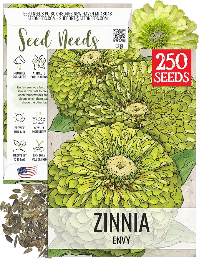 Seed Needs Lime Green Envy Zinnia Seeds for Planting - Heirloom & Open Pollinated Annual Cut Flowers - Grow a Butterfly Garden to Attract Pollinators (1 Pack)