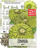 Seed Needs Lime Green Envy Zinnia Seeds for Planting - Heirloom & Open Pollinated Annual Cut Flowers - Grow a Butterfly Garden to Attract Pollinators (1 Pack)