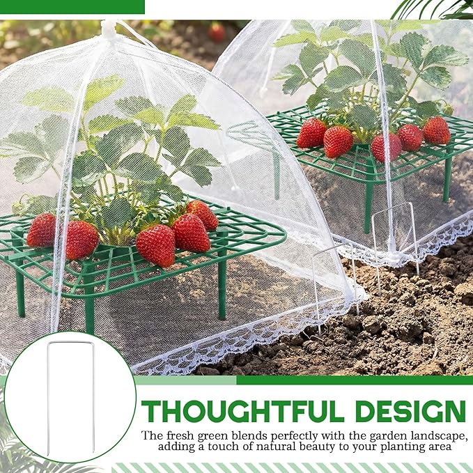 12 Sets Square Strawberry Plant Support with Mesh Plant Cover, Strawberry Growing Kit with Iron Nails for Garden Vegetables Keep Berries Clean