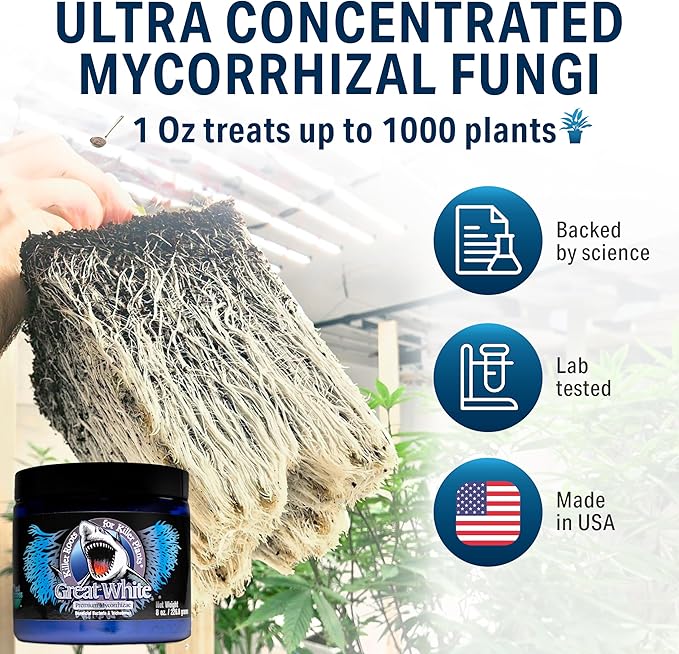 Great White Mycorrhizal Fungi, Beneficial Bacteria for Plant Growth, Root Stimulator, Concentrated 3-in-1 Formula by Plant Success (8 oz)