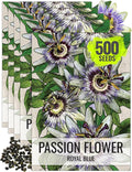 Seed Needs, Royal Blue Passion Flower Seeds - 100 Heirloom Seeds for Planting Passiflora caerulea - Open Pollinated Tropical Vine Produces Exotic Blooms (5 Packs)