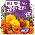 KVITER 500 French Marigold Seeds, Sparky Mix (Tagetes patula) — Marigold Flowers, Heirloom, Non GMO & Organic, Vibrant Yellow & Orange Blooms — Flower Seeds to Plant Outside, Borders, Beds, Container